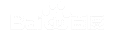 上海AI优化